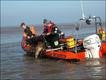 Foto: British Divers Marine Life Rescue