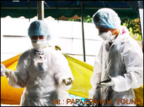 Таїланд, лікарі-судмедексперти