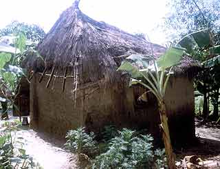 A rural house in Bangladesh collapses