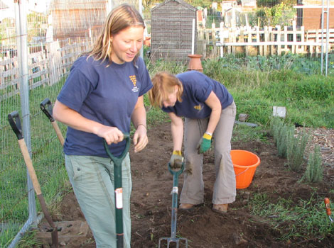 Digging in the Pengegon Community Allotments 