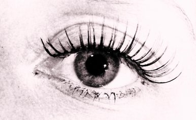 If Eyes Be The Door To The Soul....Surely Eyelashes Be The GateKeeper ?