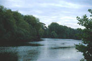Photograph showing Runnymede lake