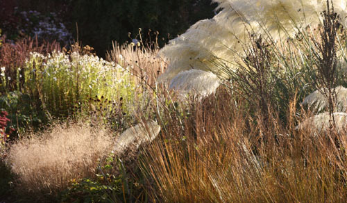 Ness Botanic Gardens