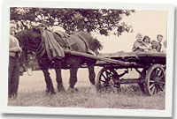 Ffermio. Cyfranwyd y llun gan Barbara Carr.