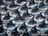 Abertura da Olimpíada