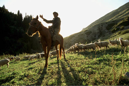 Man on horseback, photo by Tom Ang