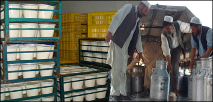 نگهداری لبنيات