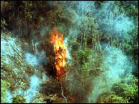 Incêndio florestal na Amazônia