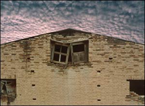 عکس از مصطفی داوری