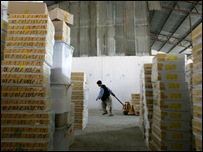 Aфганські вибори