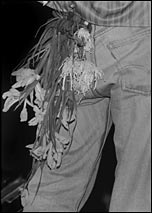 Morrissey's bum (photo by Stephen Wright)