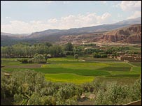 زمينهای زراعتی در باميان