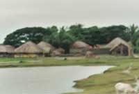 Cefn gwlad gorllewin Bengal adeg y monswn