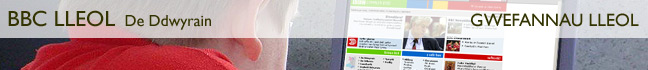 Gwefannau Lleol
