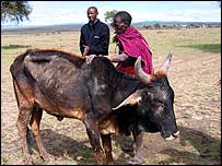 قحطی زدگان کنيا