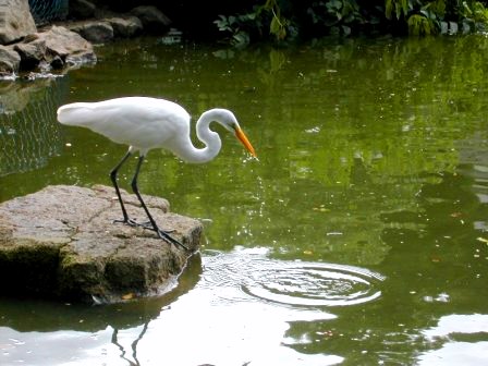 Lake in Pedra da Cebola or Onion Rock
