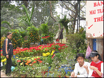 Bán hoa tại vườn