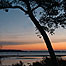 Brownsea sunset c/o Viktoria Gridley-Haack