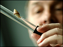 Profesor Phil Rainbow a stromový šnek