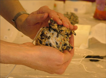 Squash the mixture into the ball 