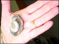 An ammonite found in rocks around Bridlington