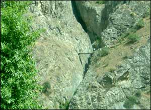 عکس از قاسم قوسی 