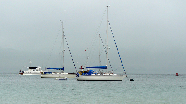 Yachts moored at Gigha harbour