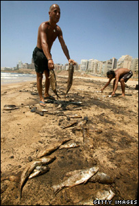 مری ہوئی مچھلیوں کو اٹھاتے ہوے لوگ