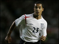 迪奥•威尔科特