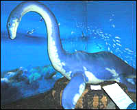 Reconstruction of a plesiosaur