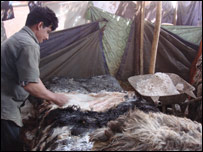  پوست حيوانات