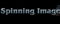 The Spinning Image
