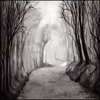 'Road into mist' drawn by Jenny