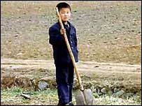 کشاورزی کره شمالی