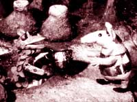 Clangers: Click for more images