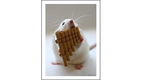 Foto: Ellen van Deelen