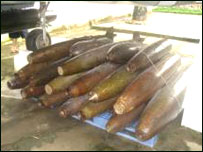 ناچاوده توکي