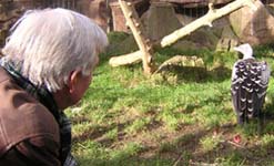 Geoff and a vulture