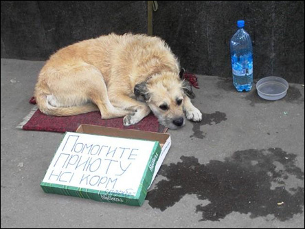 Фото Олега Таткова