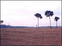 Pertanian kedelai di daerah Amazon