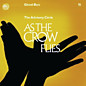 Review of As the Crow Flies