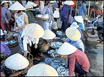 Một khu chợ cá ở Việt Nam