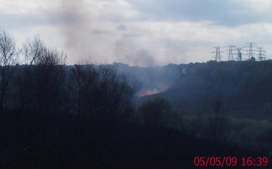 2nd fire on talbot heath