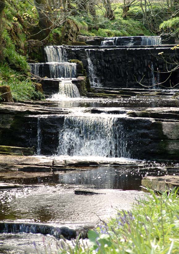 Anyone know where this is??