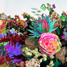 Review of News From Nowhere