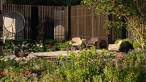 The Cancer Research UK Garden designed by Robert Myers