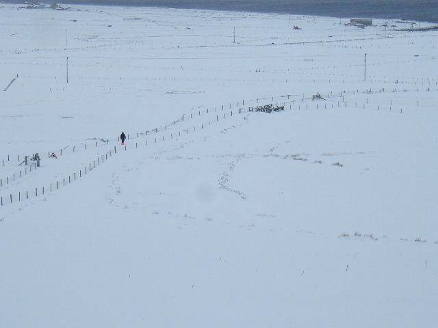 LOOK, a human being!