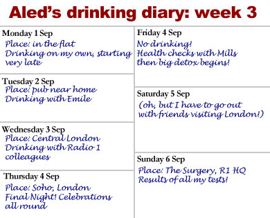 Diary week 3