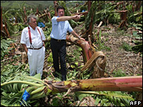 Cây cối bị đổ ở Martinique