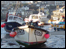 Boats at St Ives